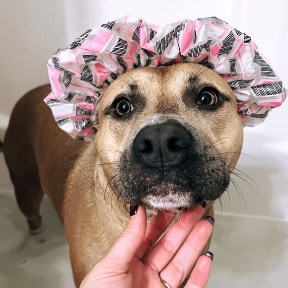 Meet your Posher, Nádia - Picture 11 of 11